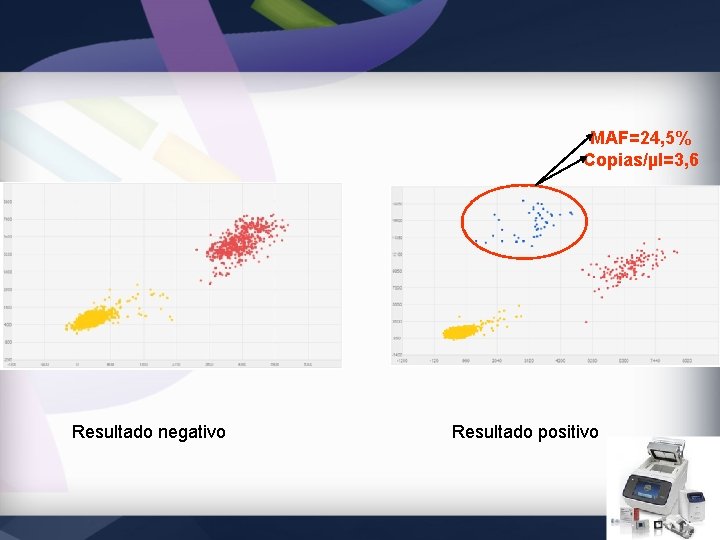 MAF=24, 5% Copias/µl=3, 6 Resultado negativo Resultado positivo 