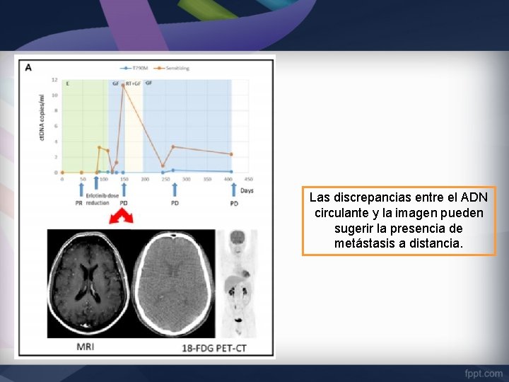 Las discrepancias entre el ADN circulante y la imagen pueden sugerir la presencia de