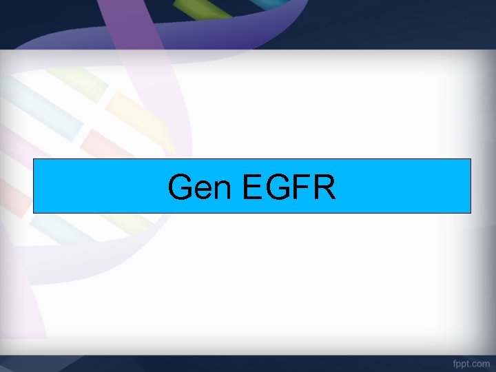 Gen EGFR 