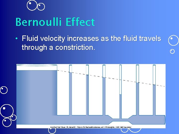 Bernoulli Effect • Fluid velocity increases as the fluid travels through a constriction. 