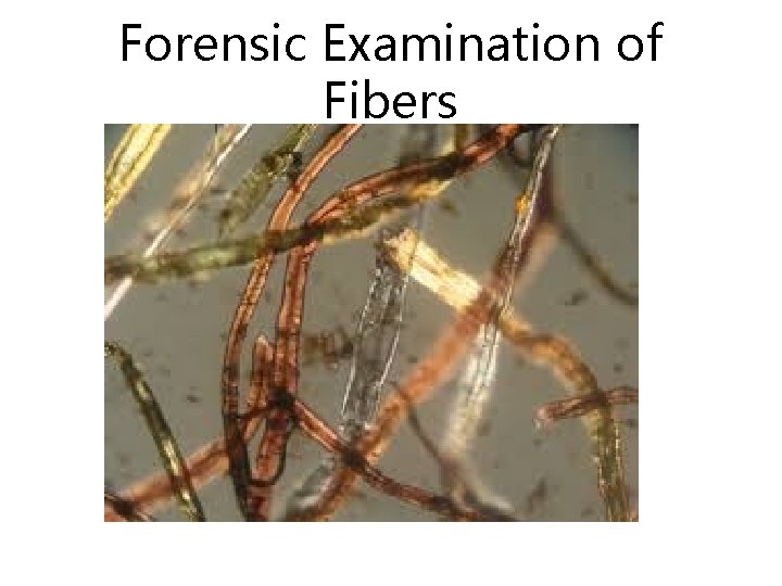 Forensic Examination of Fibers 