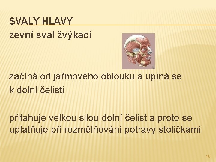 SVALY HLAVY zevní sval žvýkací začíná od jařmového oblouku a upíná se k dolní SVALY HLAVY zevní sval žvýkací začíná od jařmového oblouku a upíná se k dolní