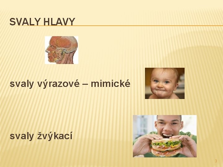 SVALY HLAVY svaly výrazové – mimické svaly žvýkací 3 SVALY HLAVY svaly výrazové – mimické svaly žvýkací 3