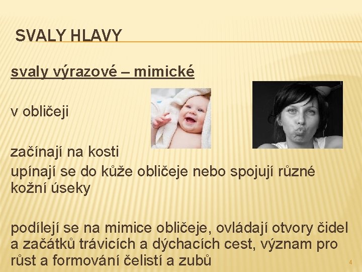 SVALY HLAVY svaly výrazové – mimické v obličeji začínají na kosti upínají se do SVALY HLAVY svaly výrazové – mimické v obličeji začínají na kosti upínají se do