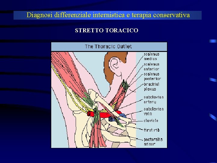 Diagnosi differenziale internistica e terapia conservativa STRETTO TORACICO 