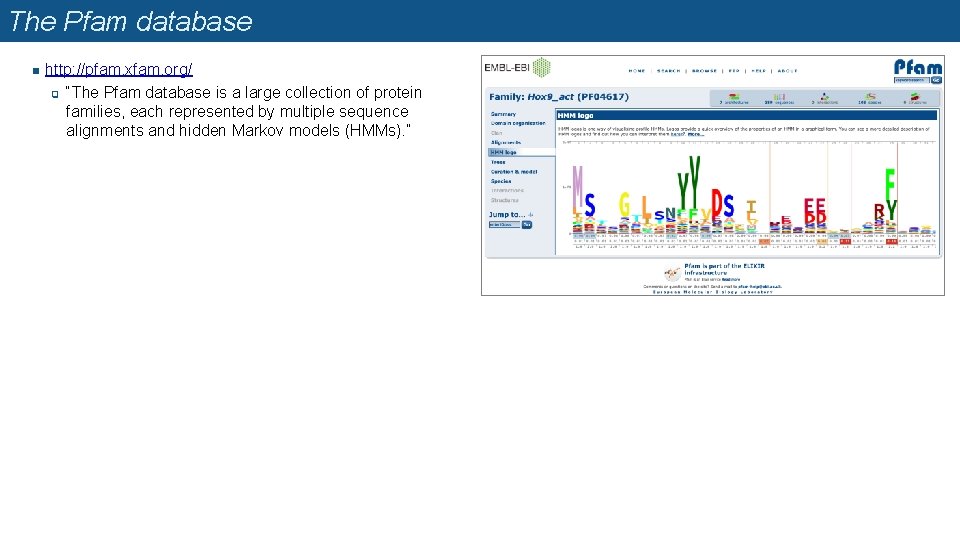 The Pfam database n http: //pfam. xfam. org/ q “The Pfam database is a