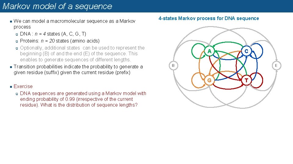 Markov model of a sequence n n We can model a macromolecular sequence as