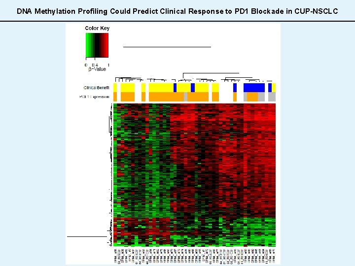 DNA Methylation Profiling Could Predict Clinical Response to PD 1 Blockade in CUP-NSCLC 