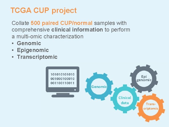 TCGA CUP project Collate 500 paired CUP/normal samples with comprehensive clinical information to perform