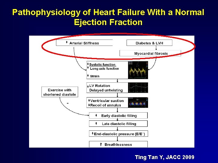 Pathophysiology of Heart Failure With a Normal Ejection Fraction Ting Tan Y, JACC 2009