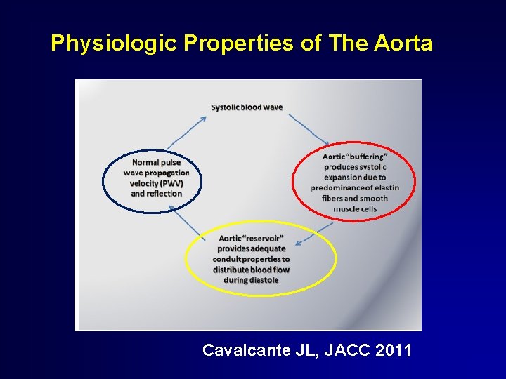 Physiologic Properties of The Aorta Cavalcante JL, JACC 2011 