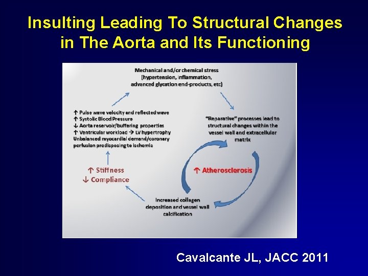 Insulting Leading To Structural Changes in The Aorta and Its Functioning Cavalcante JL, JACC