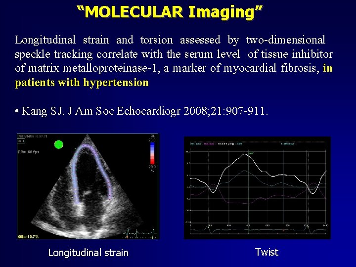“MOLECULAR Imaging” Longitudinal strain and torsion assessed by two-dimensional speckle tracking correlate with the