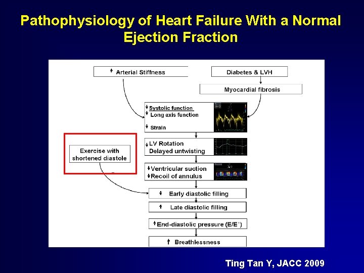 Pathophysiology of Heart Failure With a Normal Ejection Fraction Ting Tan Y, JACC 2009