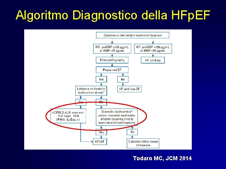 Algoritmo Diagnostico della HFp. EF Todaro MC, JCM 2014 