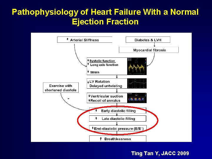 Pathophysiology of Heart Failure With a Normal Ejection Fraction Ting Tan Y, JACC 2009
