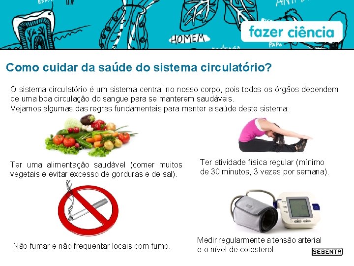 Como cuidar da saúde do sistema circulatório? O sistema circulatório é um sistema central