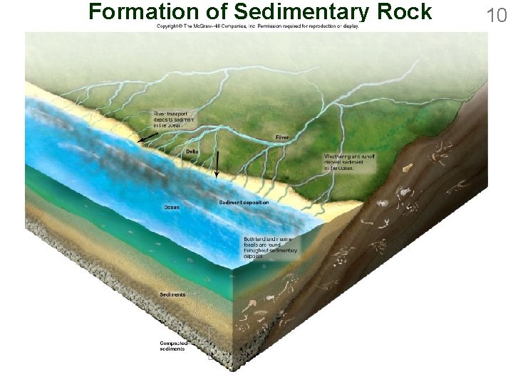 Formation of Sedimentary Rock 10 