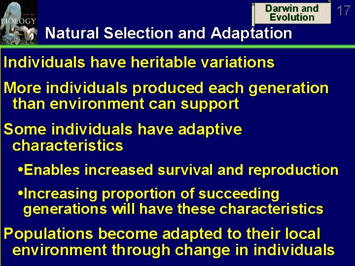 Darwin and Evolution 17 Natural Selection and Adaptation Individuals have heritable variations More individuals