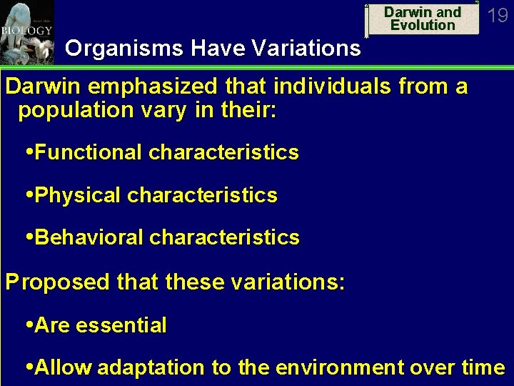 Darwin and Evolution 19 Organisms Have Variations Darwin emphasized that individuals from a population