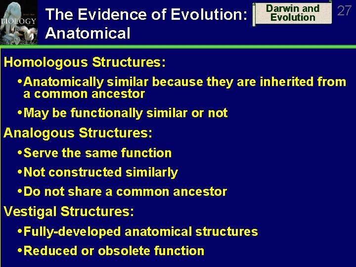 The Evidence of Evolution: Anatomical Darwin and Evolution 27 Homologous Structures: Anatomically similar because