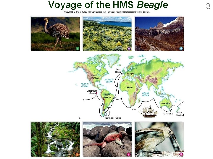 Voyage of the HMS Beagle 3 