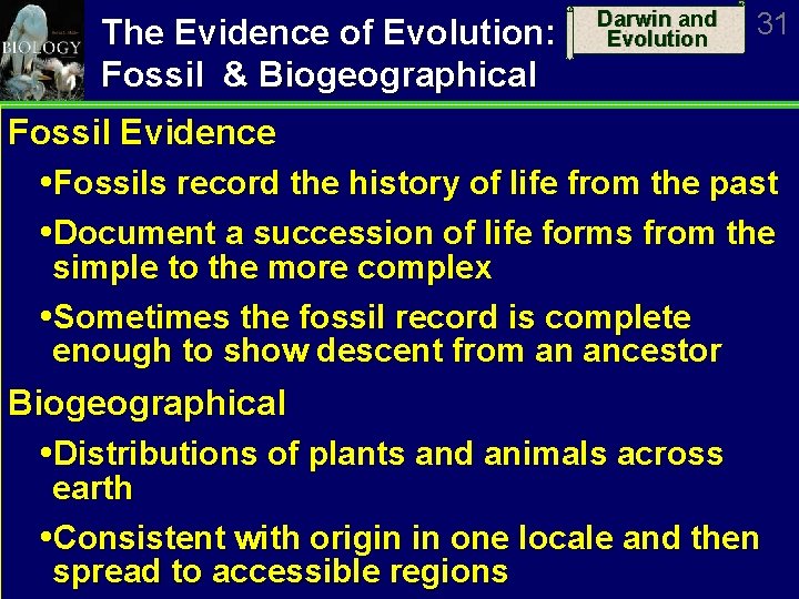 The Evidence of Evolution: Fossil & Biogeographical Darwin and Evolution 31 Fossil Evidence Fossils