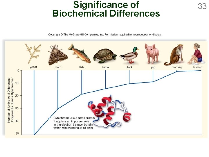 Significance of Biochemical Differences 33 