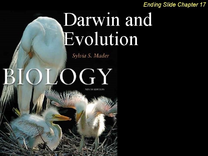 Ending Slide Chapter 17 Darwin and Evolution 