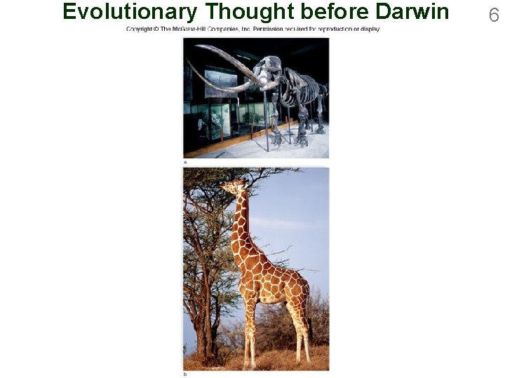 Evolutionary Thought before Darwin 6 