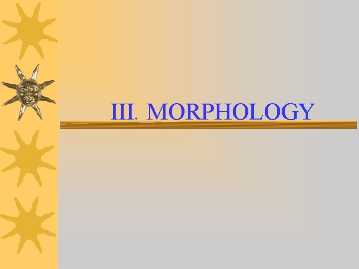 III. MORPHOLOGY 