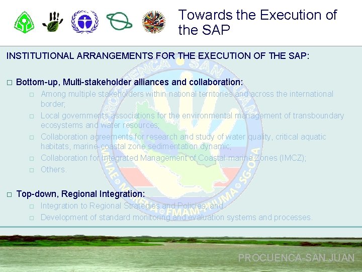 Towards the Execution of the SAP INSTITUTIONAL ARRANGEMENTS FOR THE EXECUTION OF THE SAP: