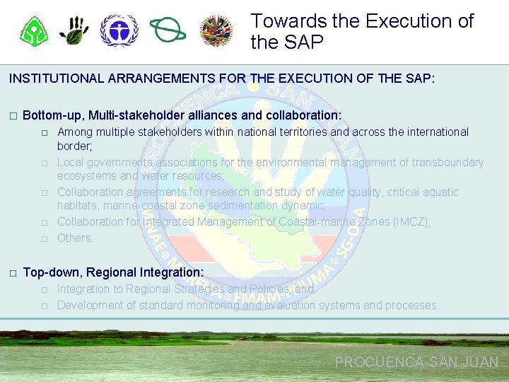 Towards the Execution of the SAP INSTITUTIONAL ARRANGEMENTS FOR THE EXECUTION OF THE SAP: