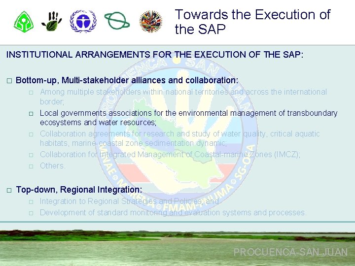 Towards the Execution of the SAP INSTITUTIONAL ARRANGEMENTS FOR THE EXECUTION OF THE SAP: