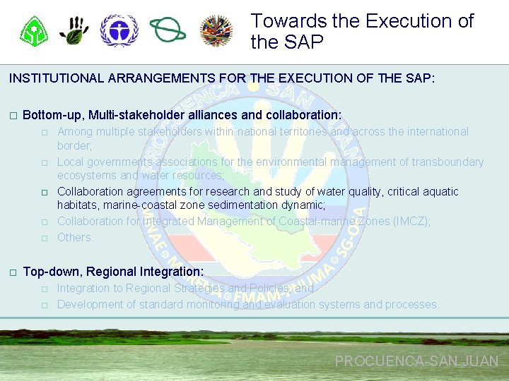 Towards the Execution of the SAP INSTITUTIONAL ARRANGEMENTS FOR THE EXECUTION OF THE SAP:
