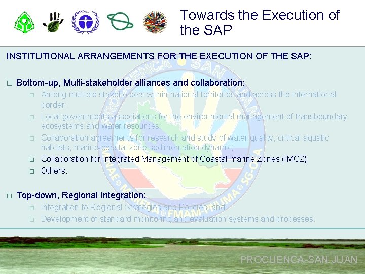 Towards the Execution of the SAP INSTITUTIONAL ARRANGEMENTS FOR THE EXECUTION OF THE SAP: