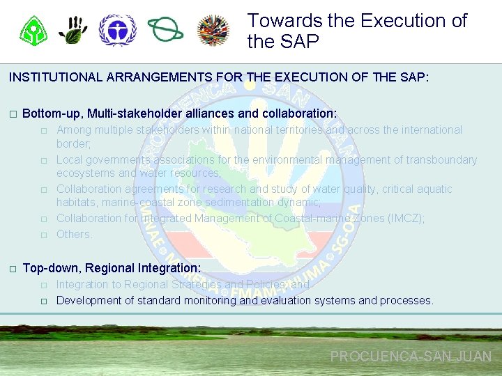 Towards the Execution of the SAP INSTITUTIONAL ARRANGEMENTS FOR THE EXECUTION OF THE SAP: