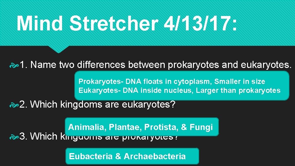 Mind Stretcher 4/13/17: 1. Name two differences between prokaryotes and eukaryotes. Prokaryotes- DNA floats