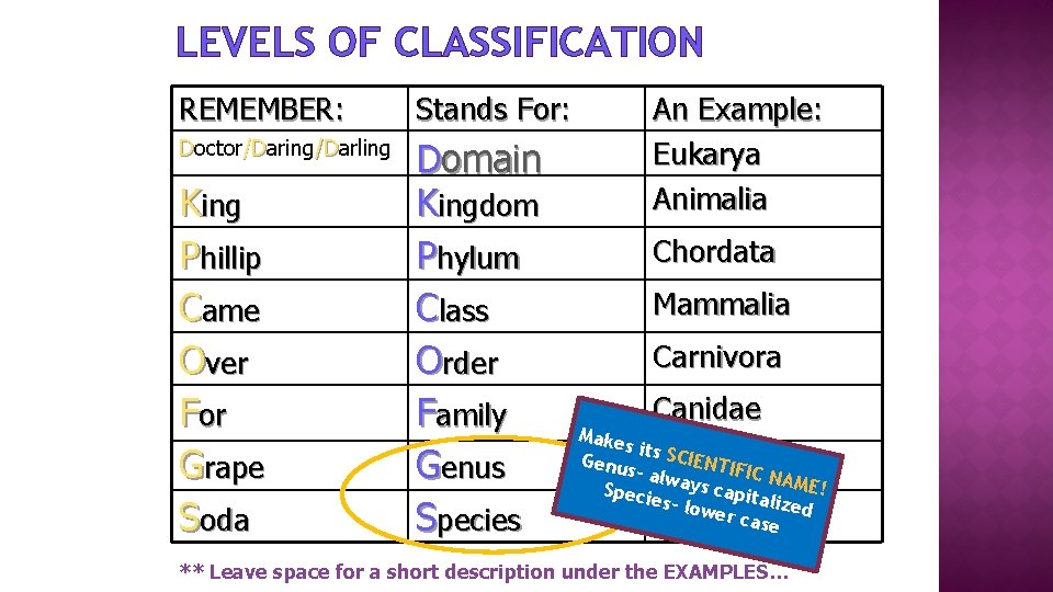 LEVELS OF CLASSIFICATION REMEMBER: Stands For: Doctor/Daring /Darling /D /D Domain Kingdom Phylum Class