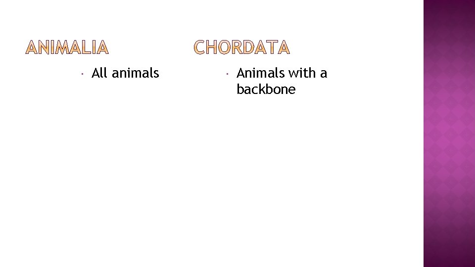  All animals Animals with a backbone 