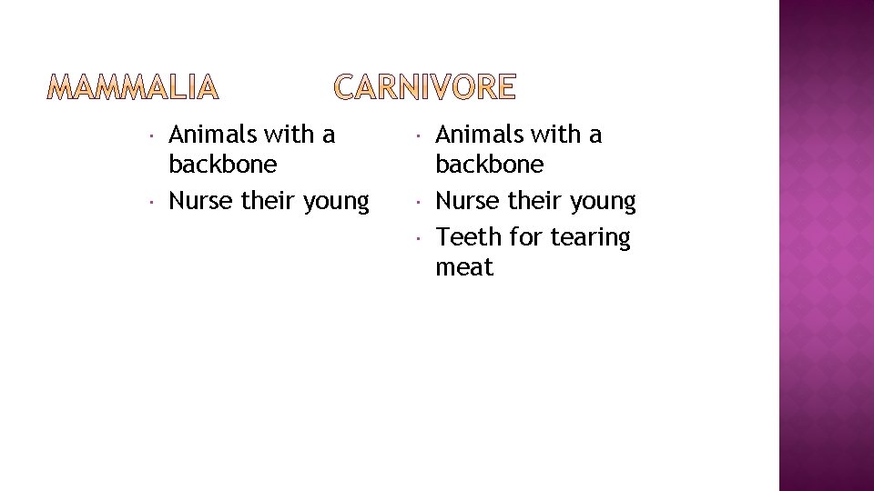  Animals with a backbone Nurse their young Teeth for tearing meat 