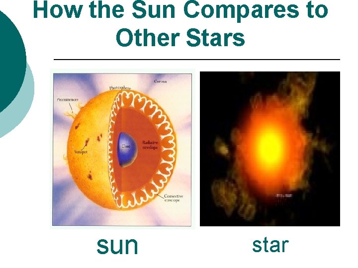 How the Sun Compares to Other Stars sun star 