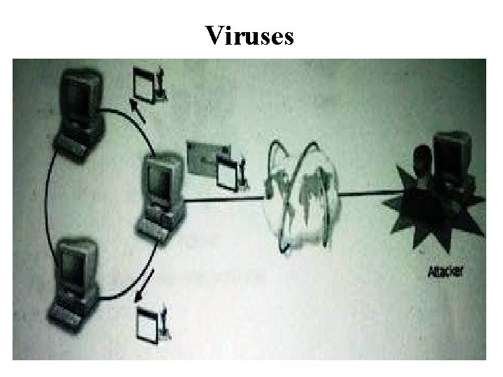 Viruses 