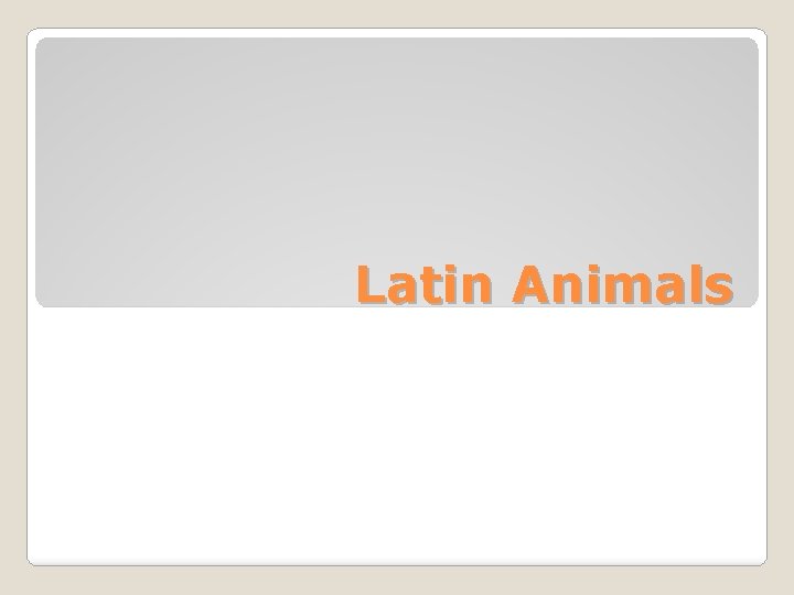 Latin Animals 