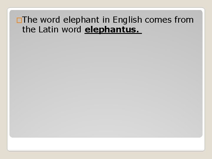�The word elephant in English comes from the Latin word elephantus. 