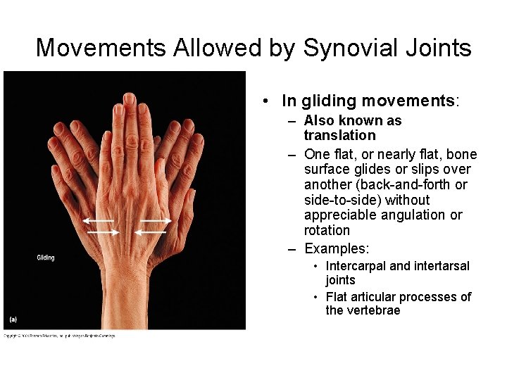 Movements Allowed by Synovial Joints • In gliding movements: – Also known as translation