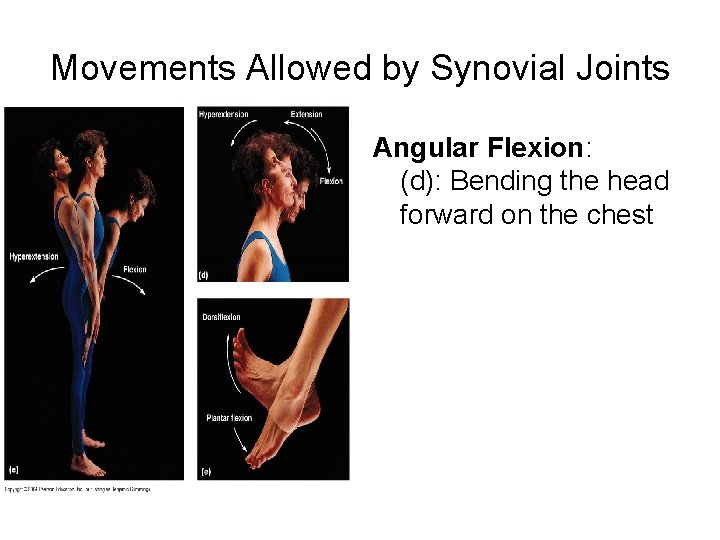 Movements Allowed by Synovial Joints Angular Flexion: (d): Bending the head forward on the