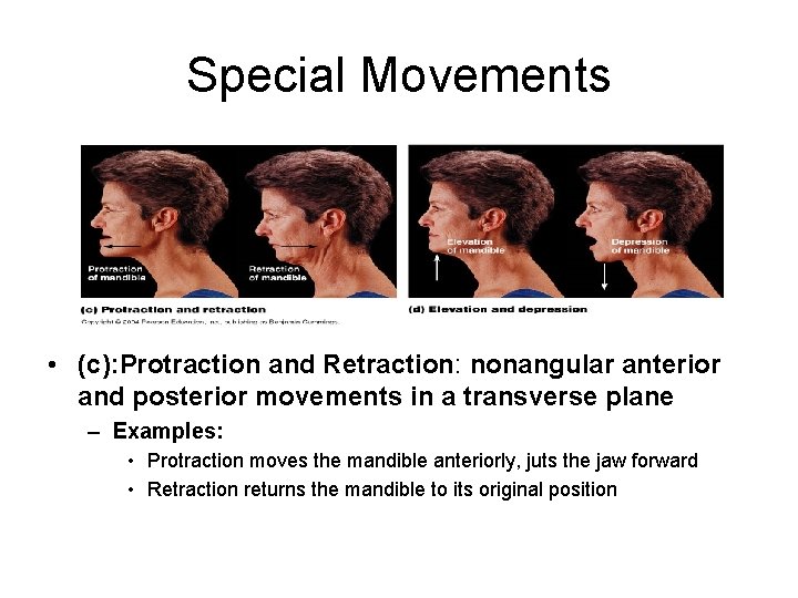 Special Movements • (c): Protraction and Retraction: nonangular anterior and posterior movements in a