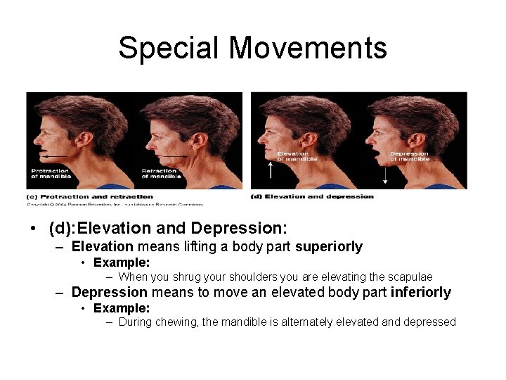 Special Movements • (d): Elevation and Depression: – Elevation means lifting a body part