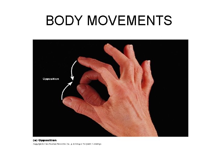 BODY MOVEMENTS 